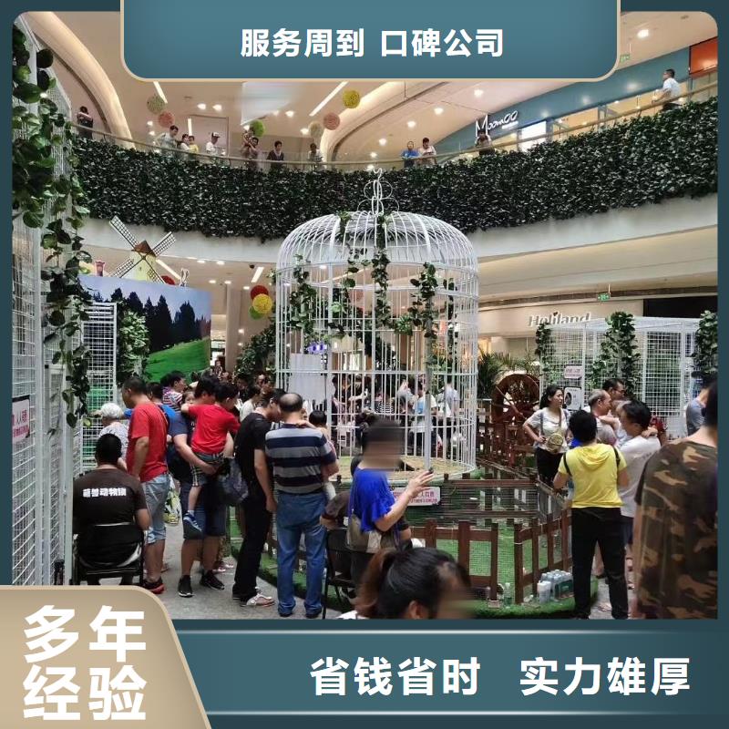 环球飞车表演租赁丰富多彩