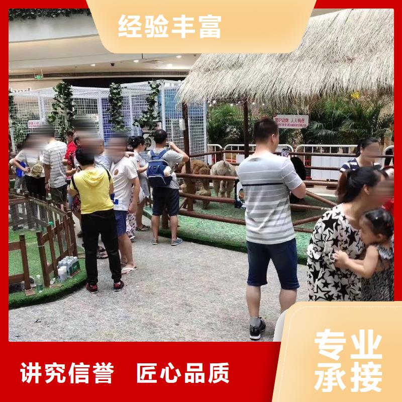 马戏团/羊驼【出租海狮表演】专业团队