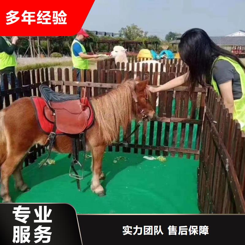 周边马戏团表演租赁联系方式