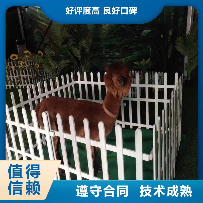 周边马戏团表演租赁联系方式