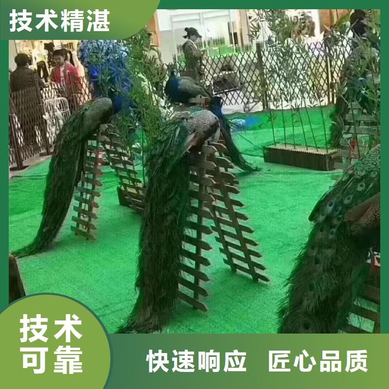 萌宠展出租节日活动