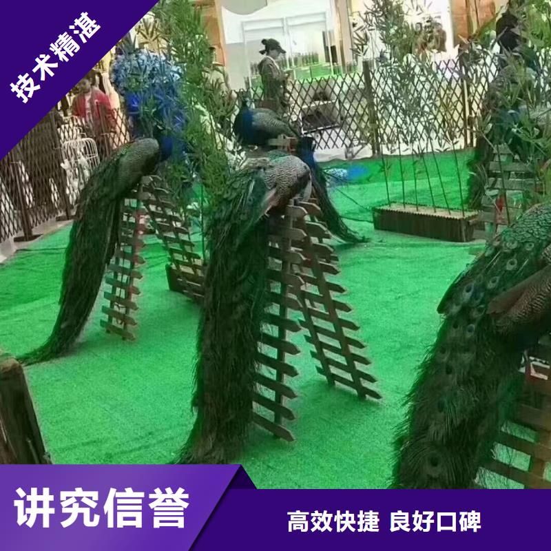 动物出租