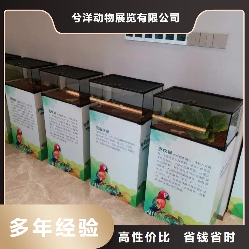 附近动物表演出租