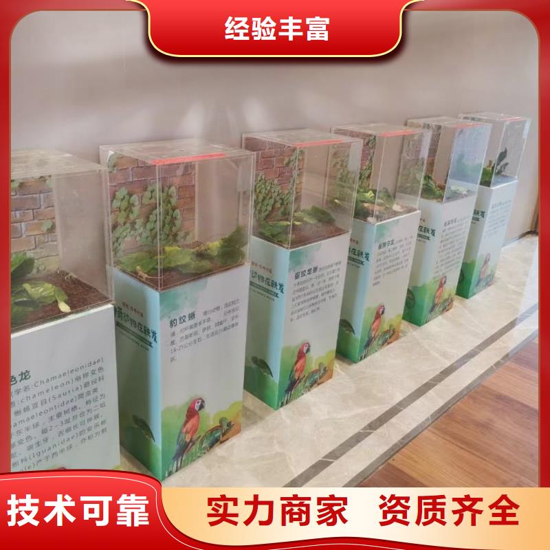 环球飞车表演出租节日活动