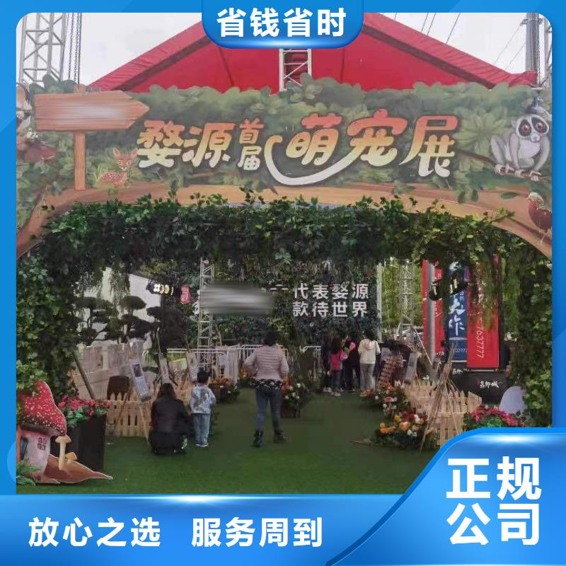 哪里有出租羊驼的品质保证