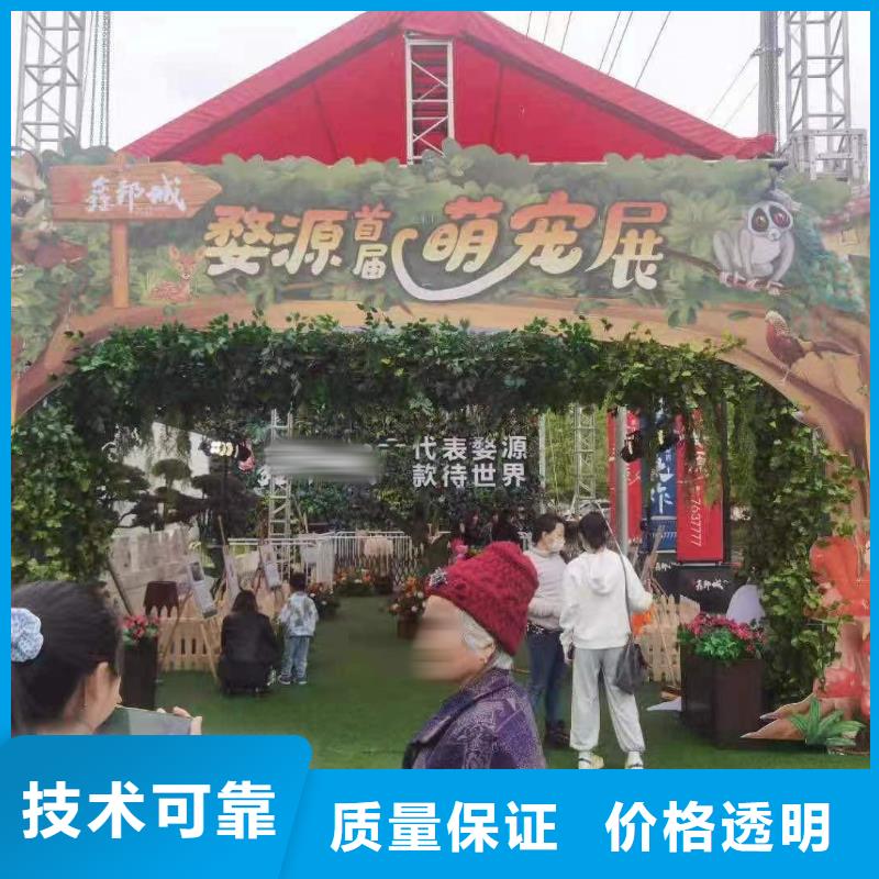 环球飞车表演租赁丰富多彩