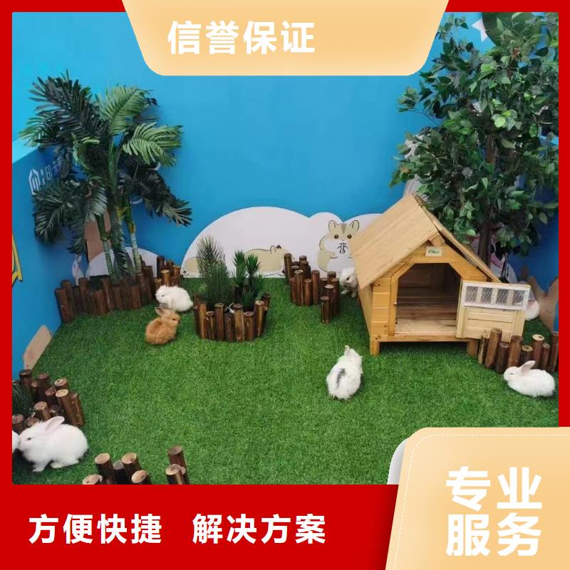 哪有出租动物的庆典暖场