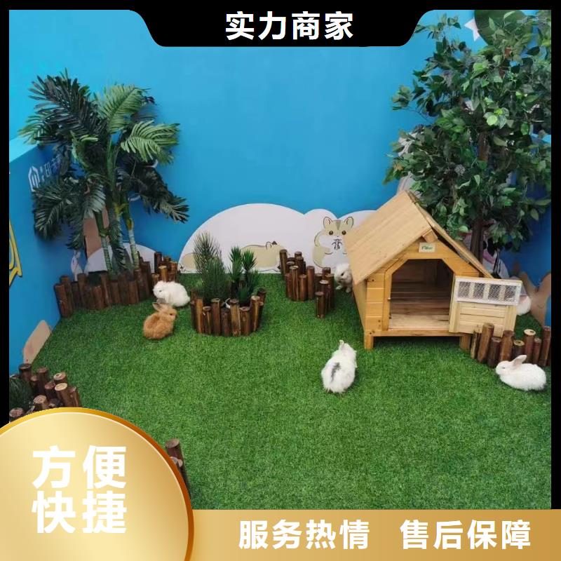 鹦鹉表演出租