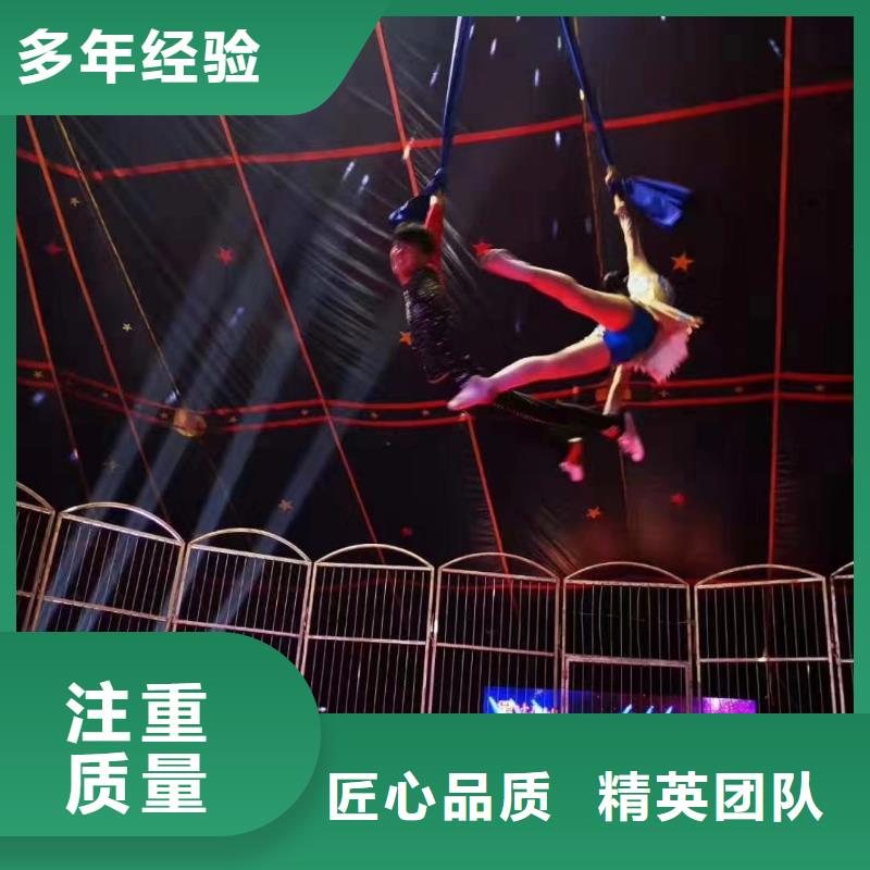 动物租赁活动方案