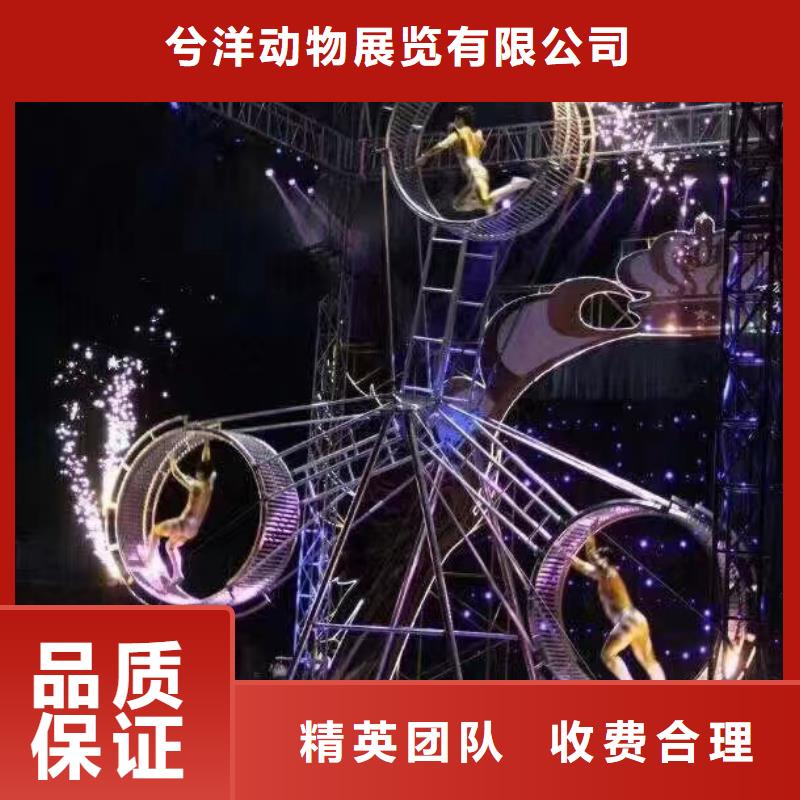 【马戏团/羊驼出租表演鹦鹉优质服务】