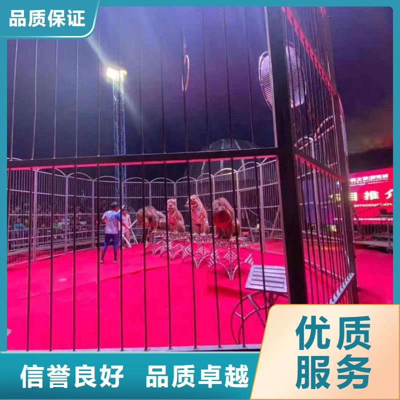 动物马戏团表演出租一手资源