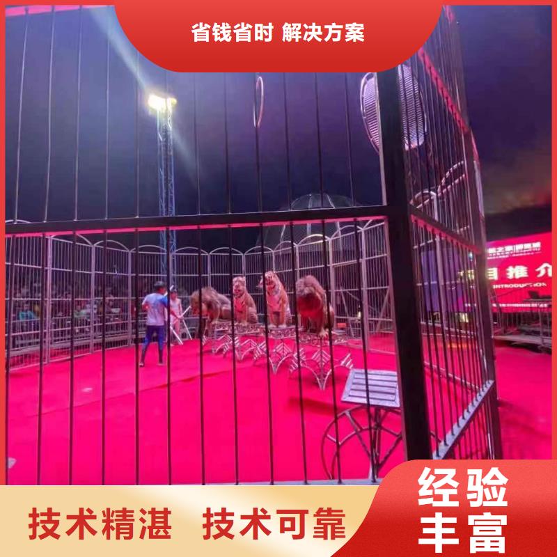 【马戏团/羊驼出租表演鹦鹉优质服务】