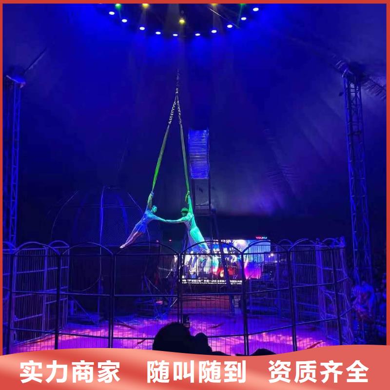 马戏团/羊驼,羊驼出租服务至上