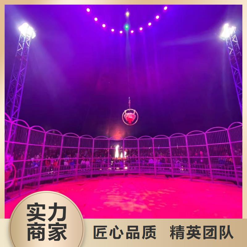 动物出租
