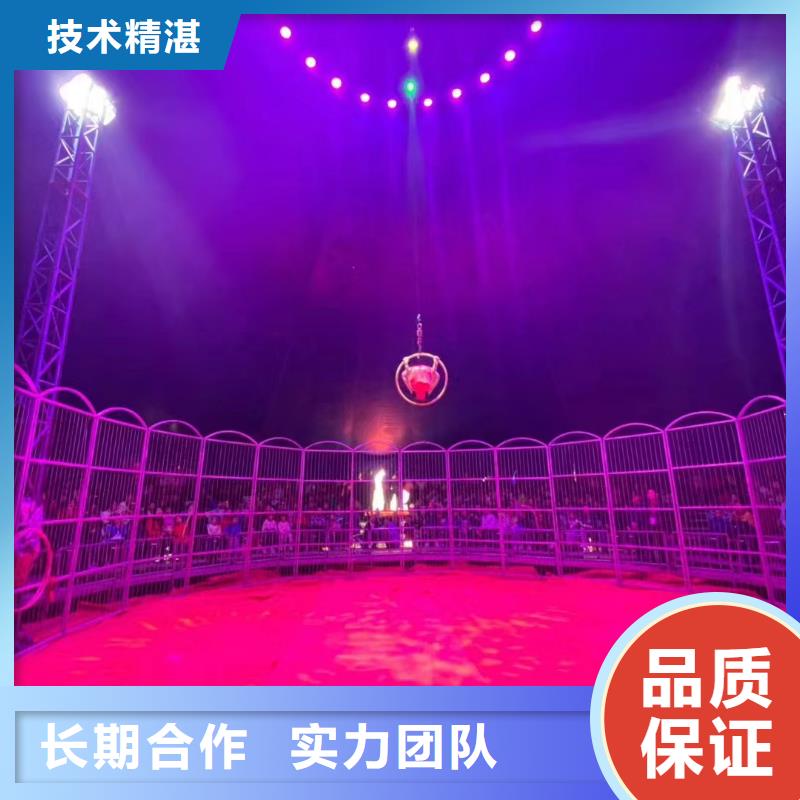 萌宠展出租节日活动