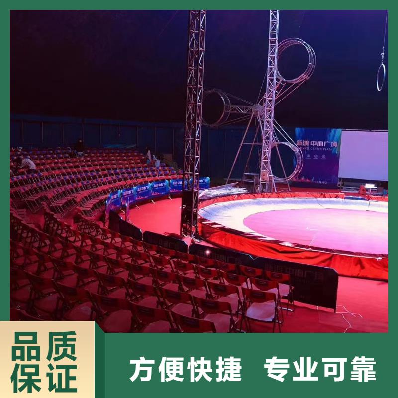 马戏团/羊驼出租动物表演正规公司