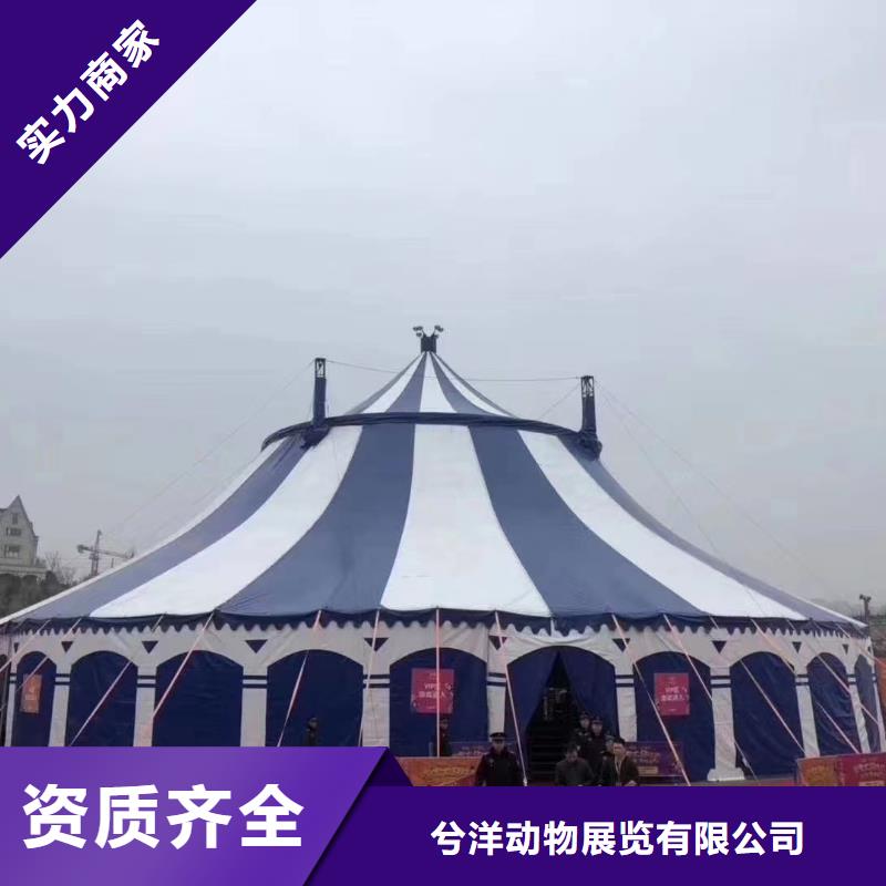 动物表演租赁品种多