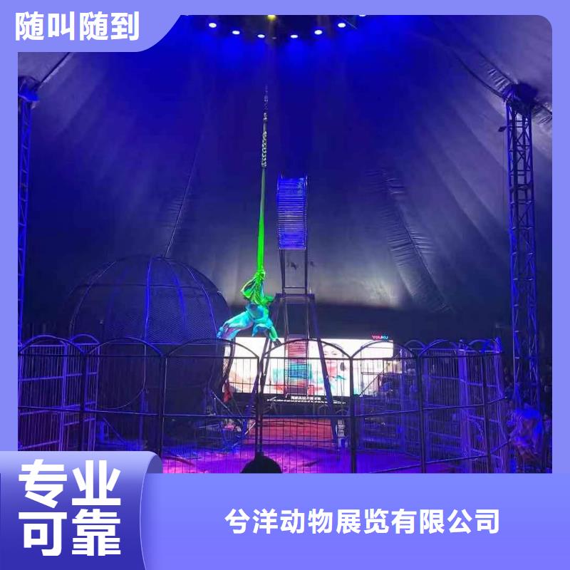 动物出租