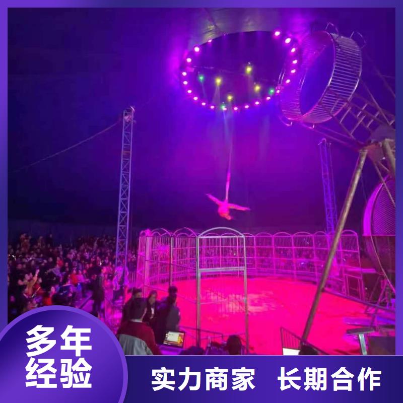 萌宠动物展出租联系方式