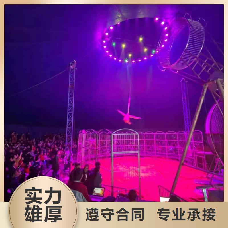 周边羊驼租赁公司