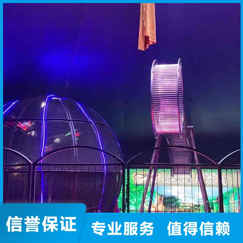动物表演租赁品种多