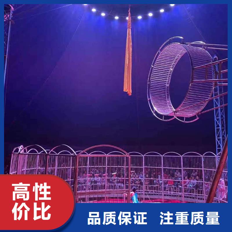 哪有羊驼出租图片