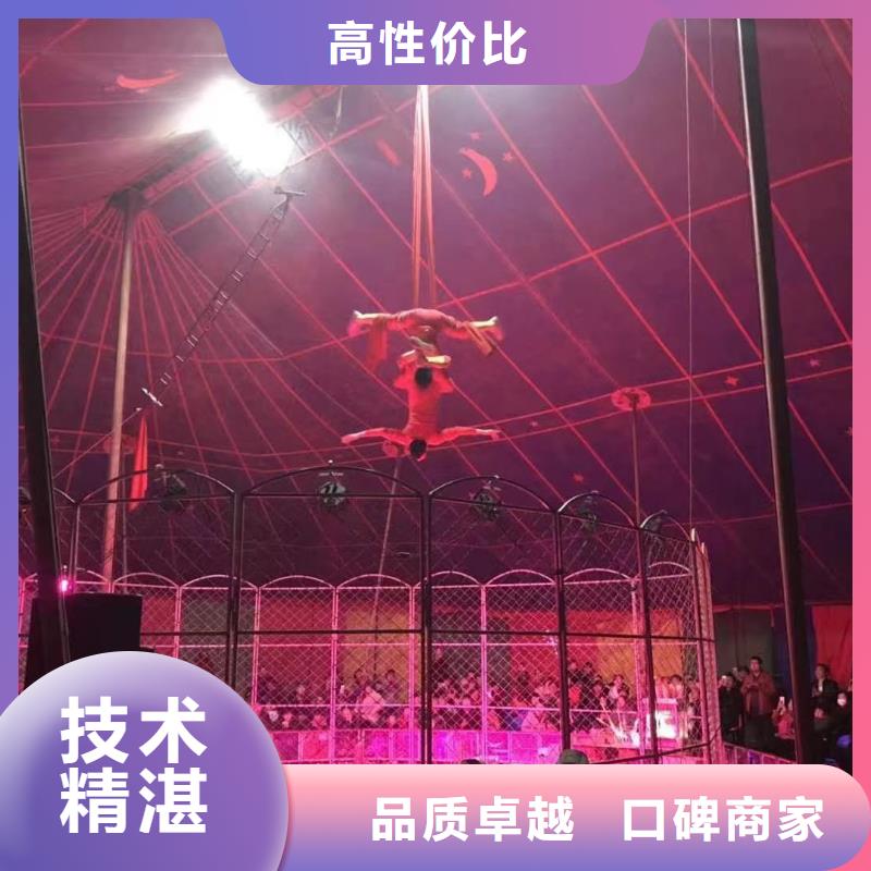 马戏团/羊驼【美人鱼表演】多家服务案例
