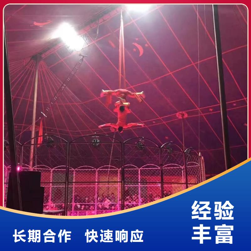 动物表演租赁品种多
