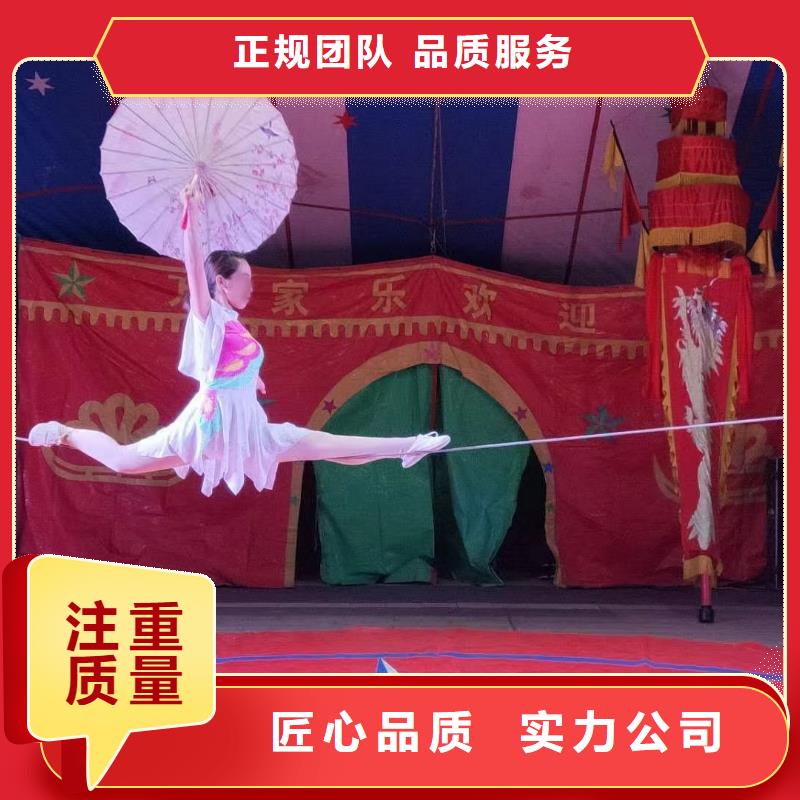 马戏团/羊驼_出租表演海狮质量保证