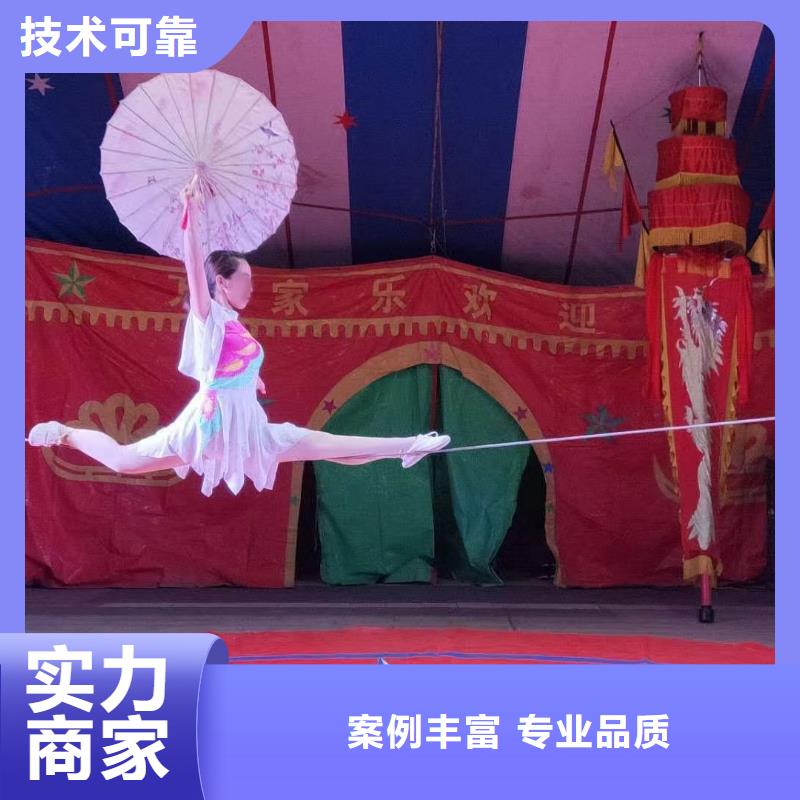 马戏团/羊驼【美人鱼表演】多家服务案例
