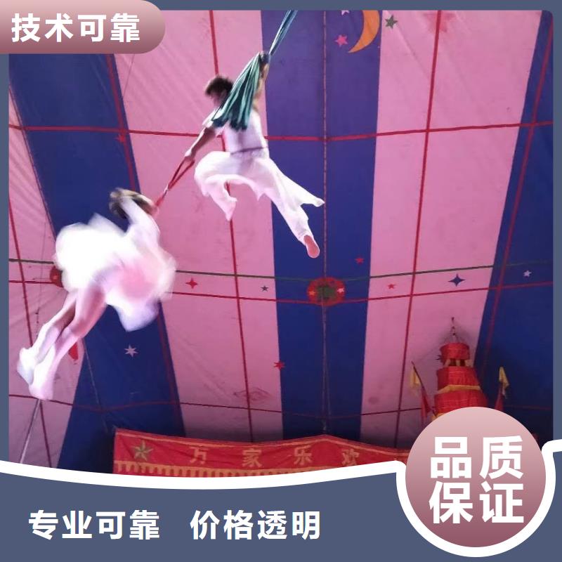 哪有出租羊驼的一手资源