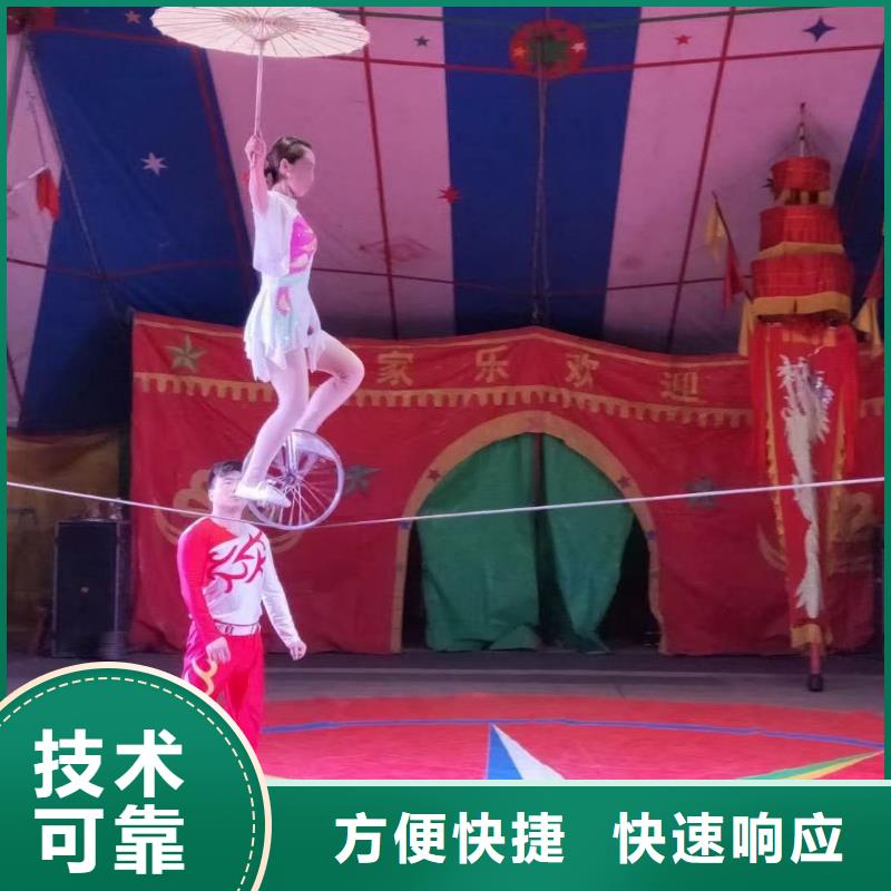 动物表演出租联系厂家