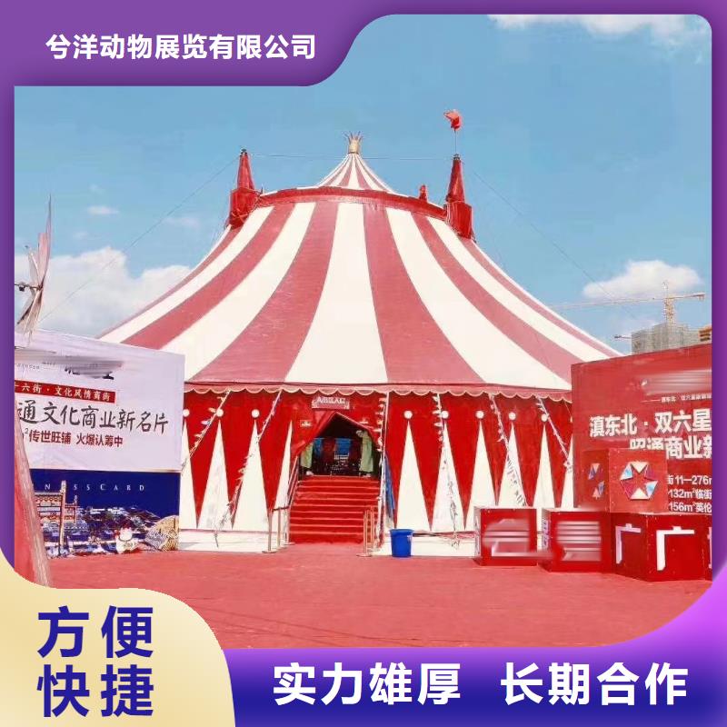 鹦鹉表演出租