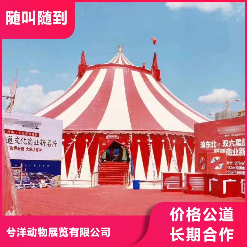 周边羊驼租赁公司