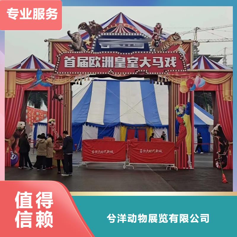环球飞车表演租赁丰富多彩