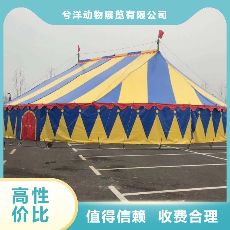 哪有出租动物的庆典暖场