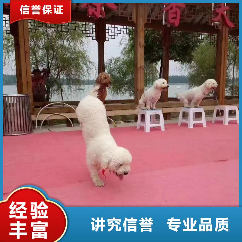 鹿岛活动出租实力强