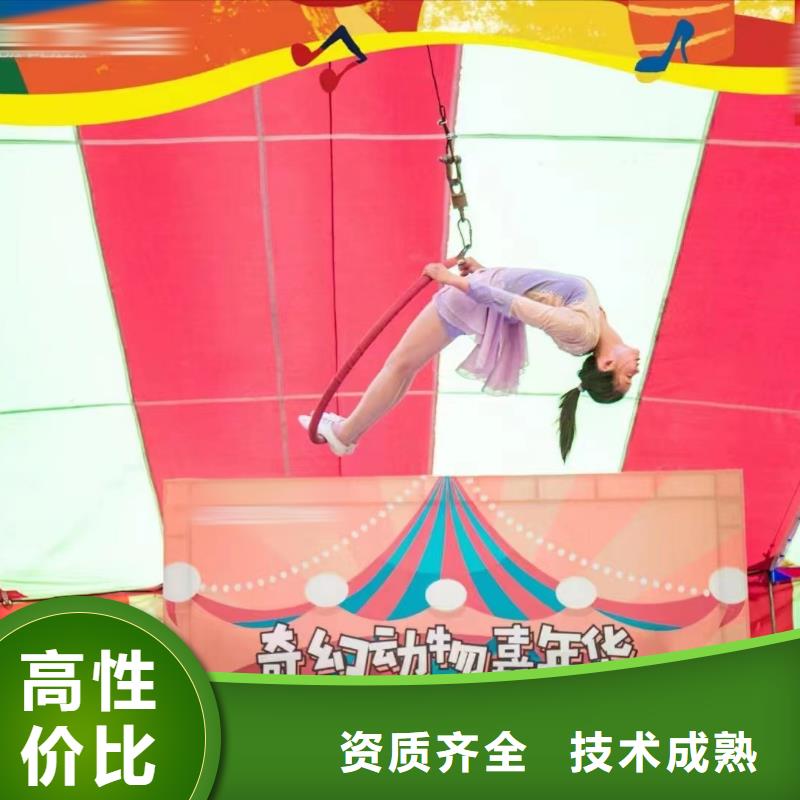 哪里有出租羊驼的品质保证