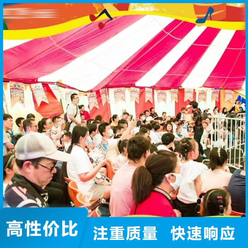 马戏团/羊驼马戏团表演精英团队