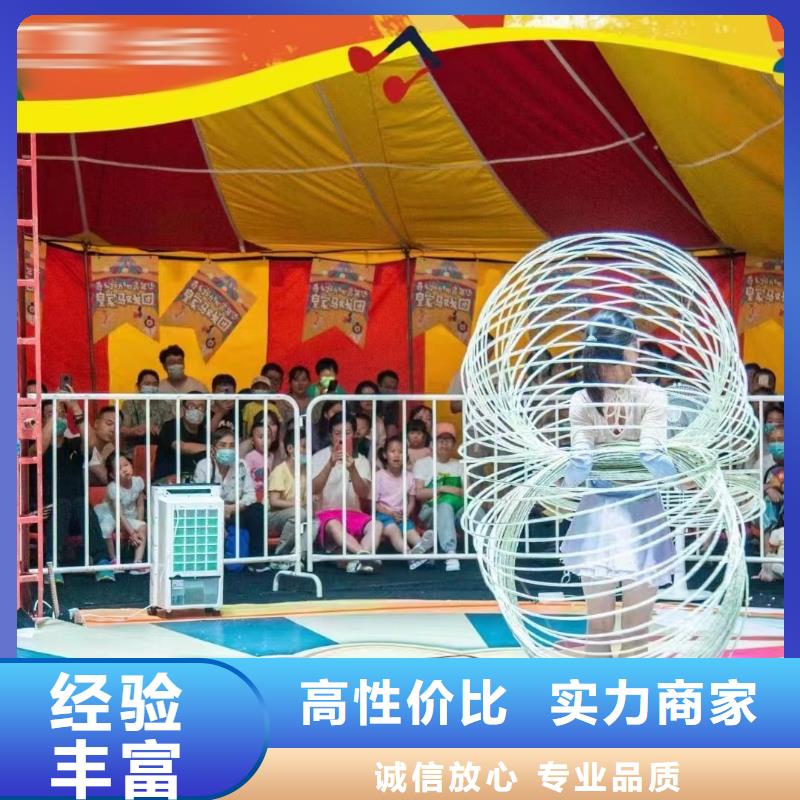动物租赁活动方案
