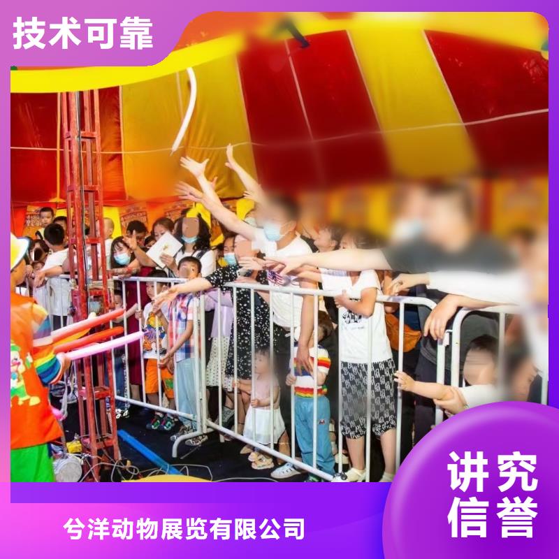 萌宠动物展出租暖场气氛