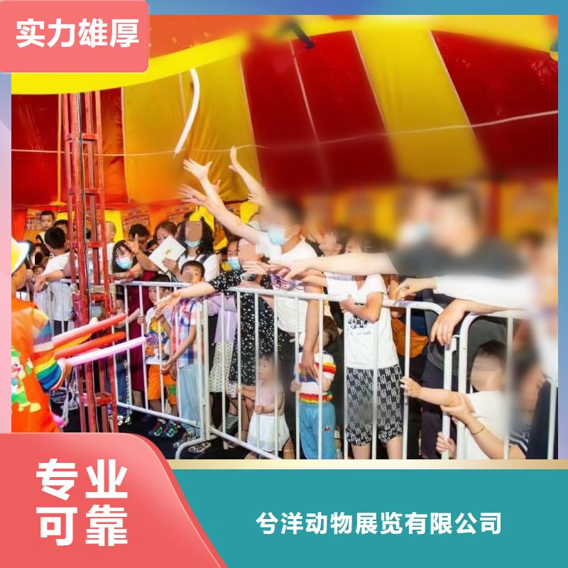 【马戏团/羊驼出租表演鹦鹉优质服务】