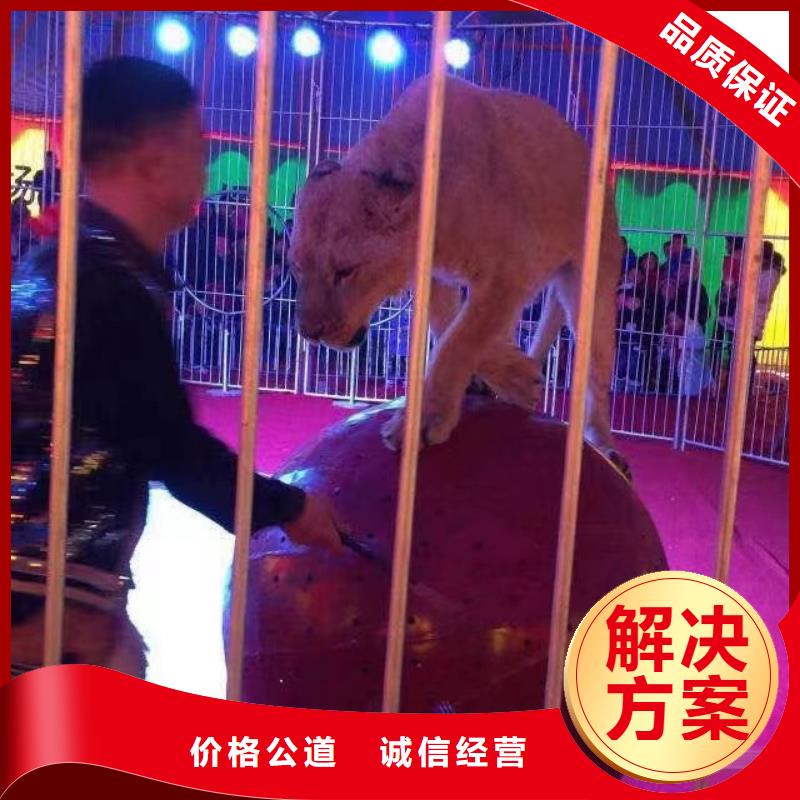 鹿岛活动出租实力强