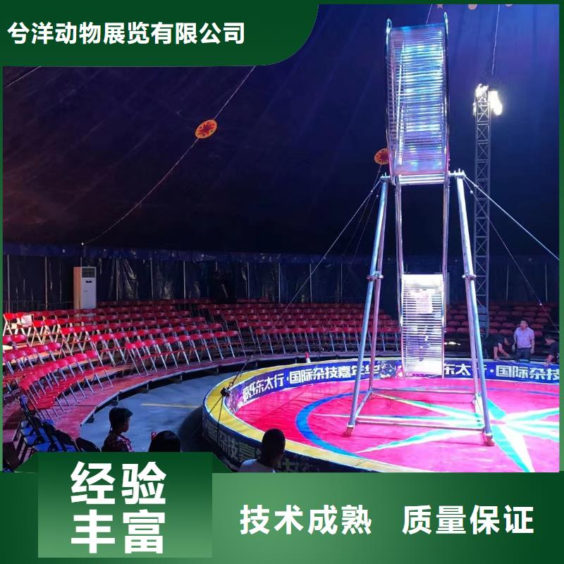 哪有出租动物的庆典暖场