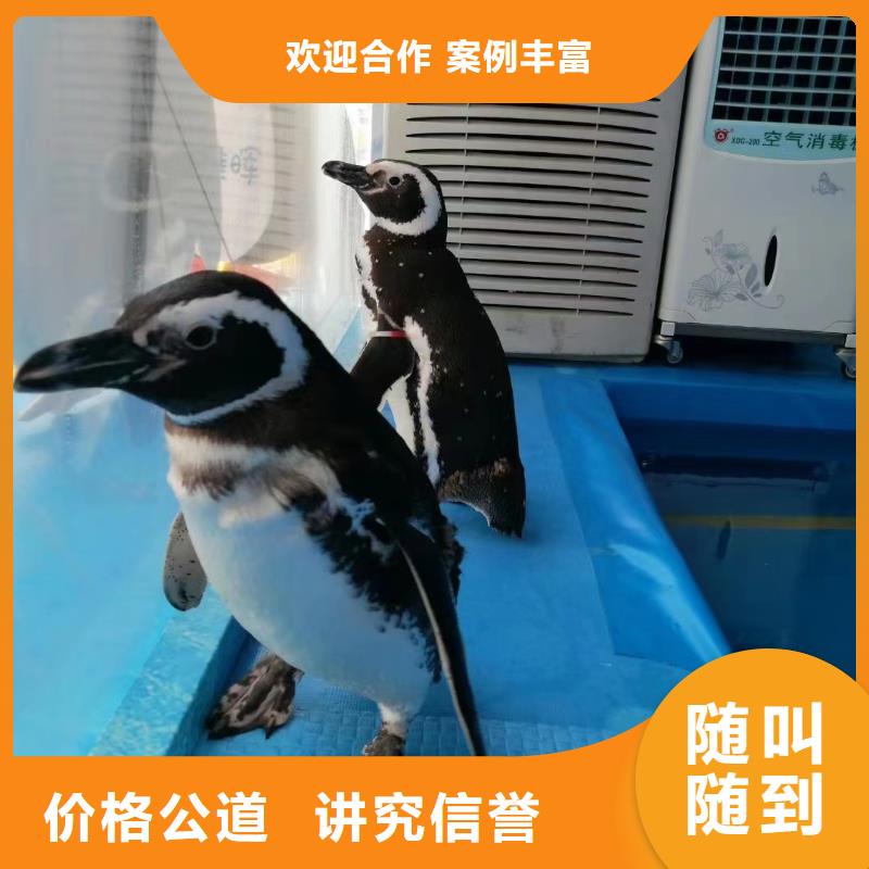 海洋生物展租赁一手资源