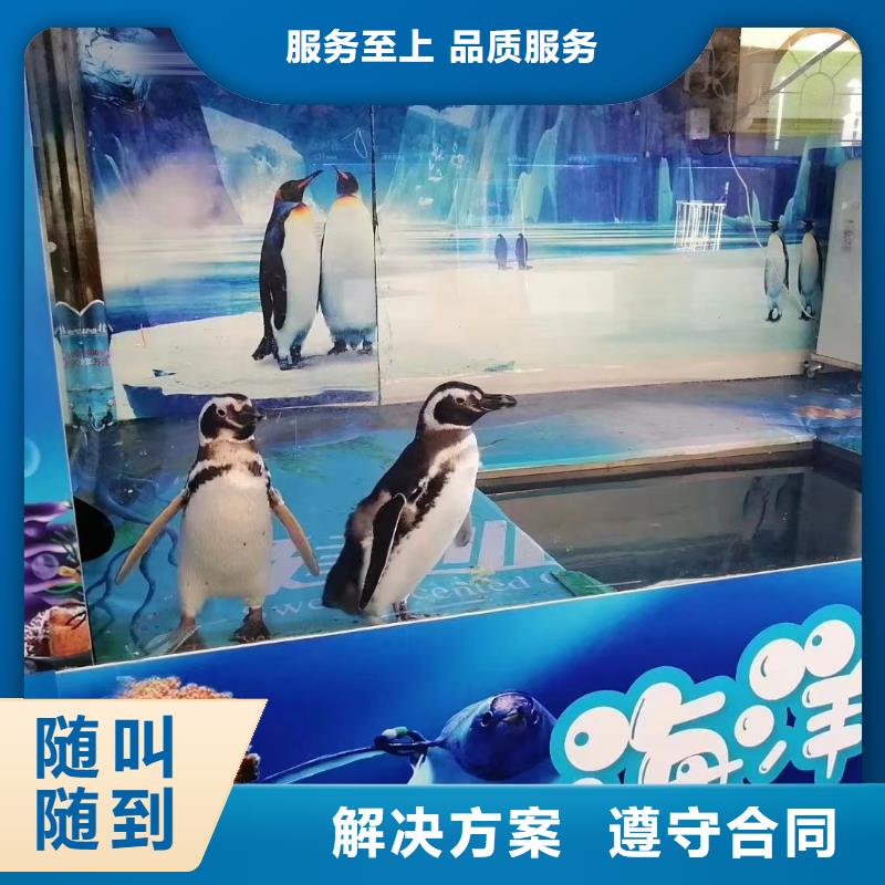 【图】海洋展出租生产厂家