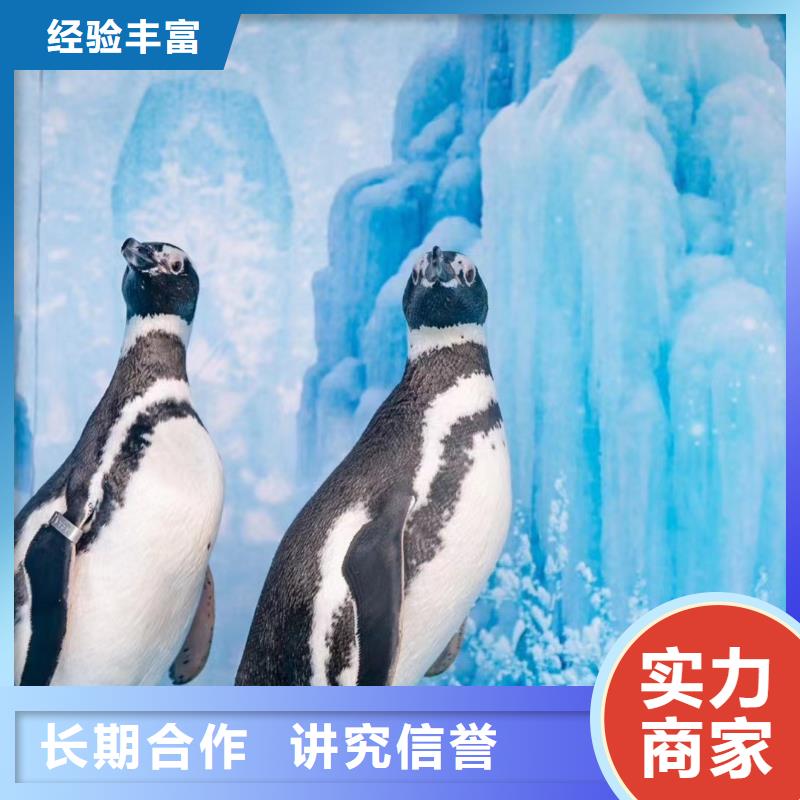 出租海洋生物展点击查看