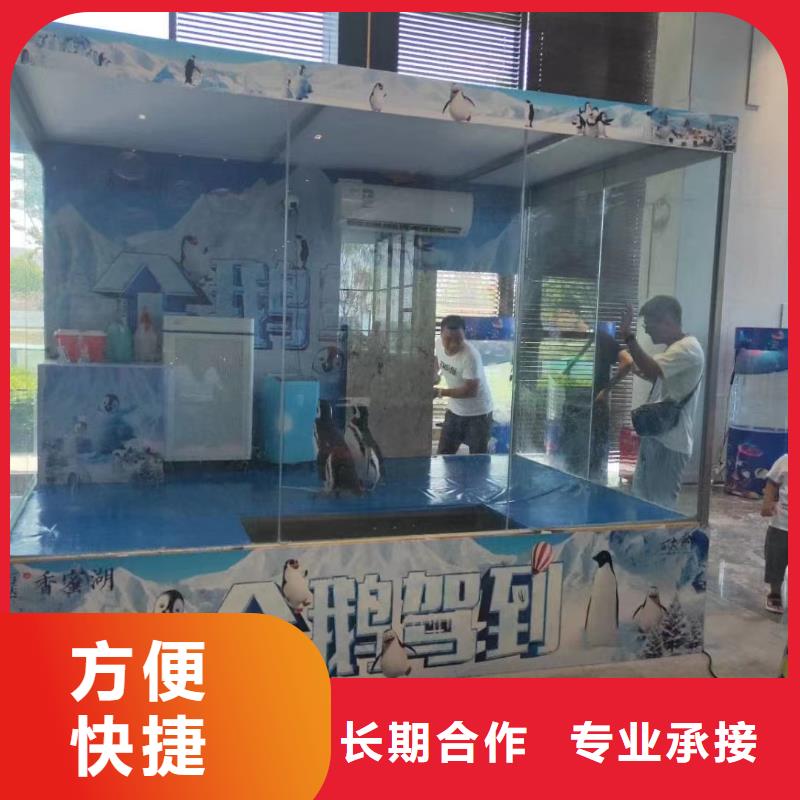 哪有出租海狮表演的动物出租