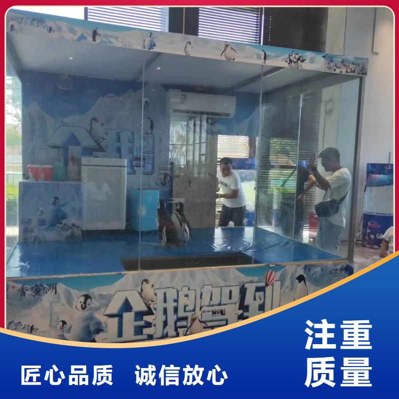 哪有出租企鹅的活动方案