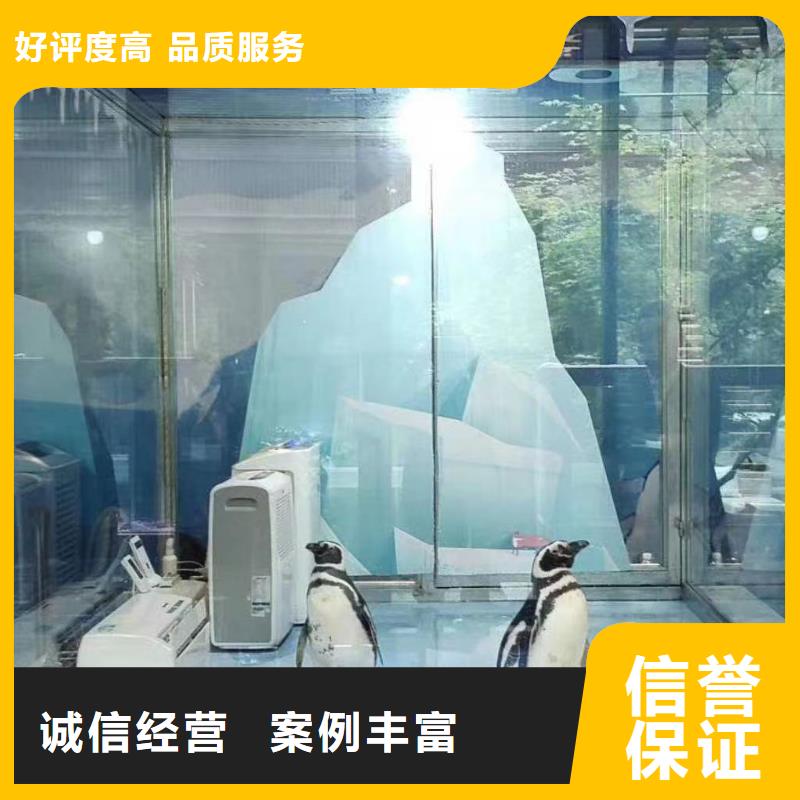 海狮表演出租公司